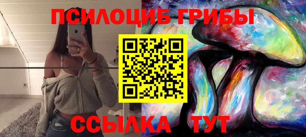 Нижнекамск  Псилоцибиновые грибы мицелий  Вход с VPN 